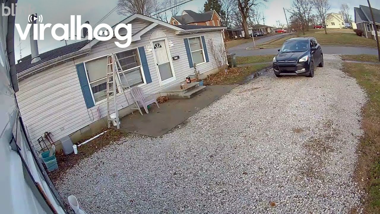 Delivery Driver Barnyard Amazon Delivery Driver Hitting My Barn and Taking Off || ViralHog - YouTube