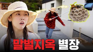 🐝별장 라이프 최대 위기🐝 홍천에 조경용 나무 심다 벌집 건드린 한혜진｜나무 시장, 별장 인테리어, 조경수, 부추전 먹방 image