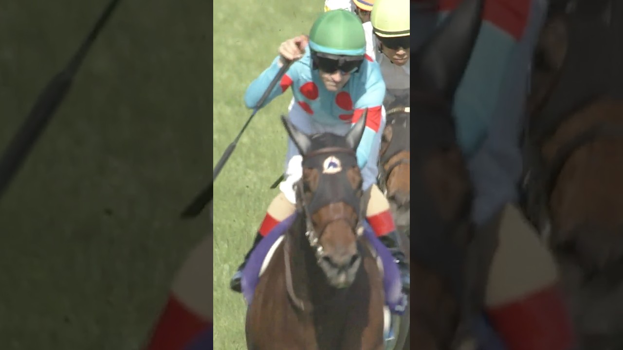 EMBROIDERY エンブロイダリー wins the G1 Victoria Mile at Tokyo