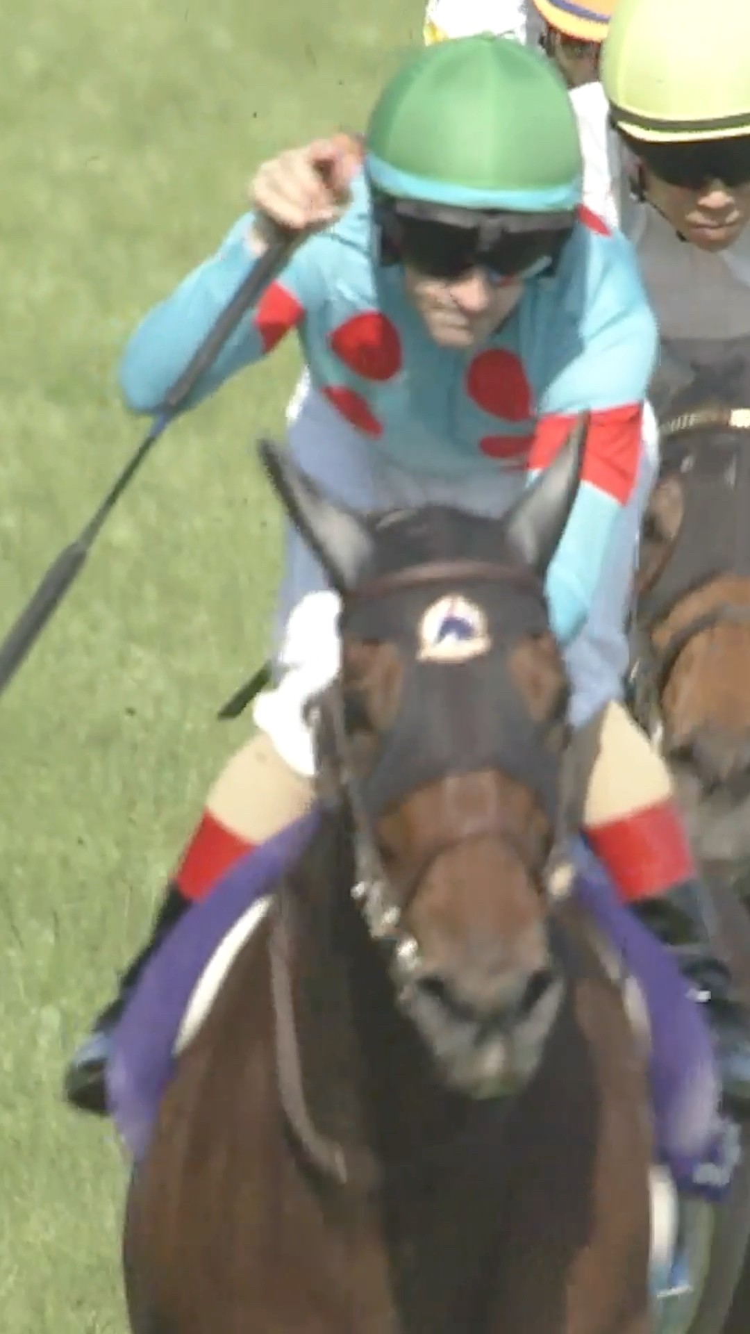 EMBROIDERY エンブロイダリー wins the G1 Victoria Mile at Tokyo