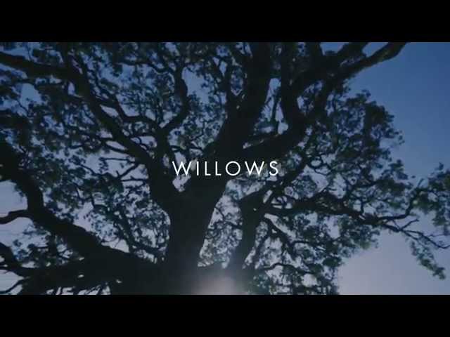 Vanessa Carlton - Willows