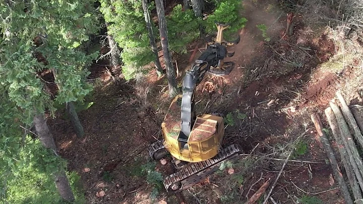 Tigercat LX830D Feller Buncher; first step in forest harvesting.