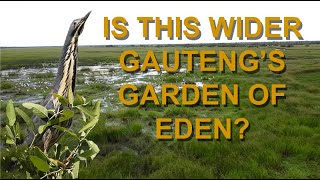 Is this Gauteng's garden of eden? - The Birding Diaries Season 3 Episode 2