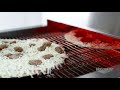Vollrath Digital Conveyor Pizza Ovens - Operating Instructions