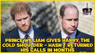 Prince William Gives Harry The Cold Shoulder – Hasn’t Returned His Calls In Months