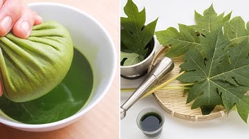 Lá đu đủ chữa ung thư hay không? Lời khuyên bác sĩ, Ý kiến chuyên gia