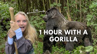 Hiking With Gorillas in Uganda 🇺🇬