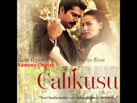 Çalıkuşu-Jenerik Muzik