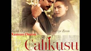 Çalıkuşu-Jenerik Muzik Resimi