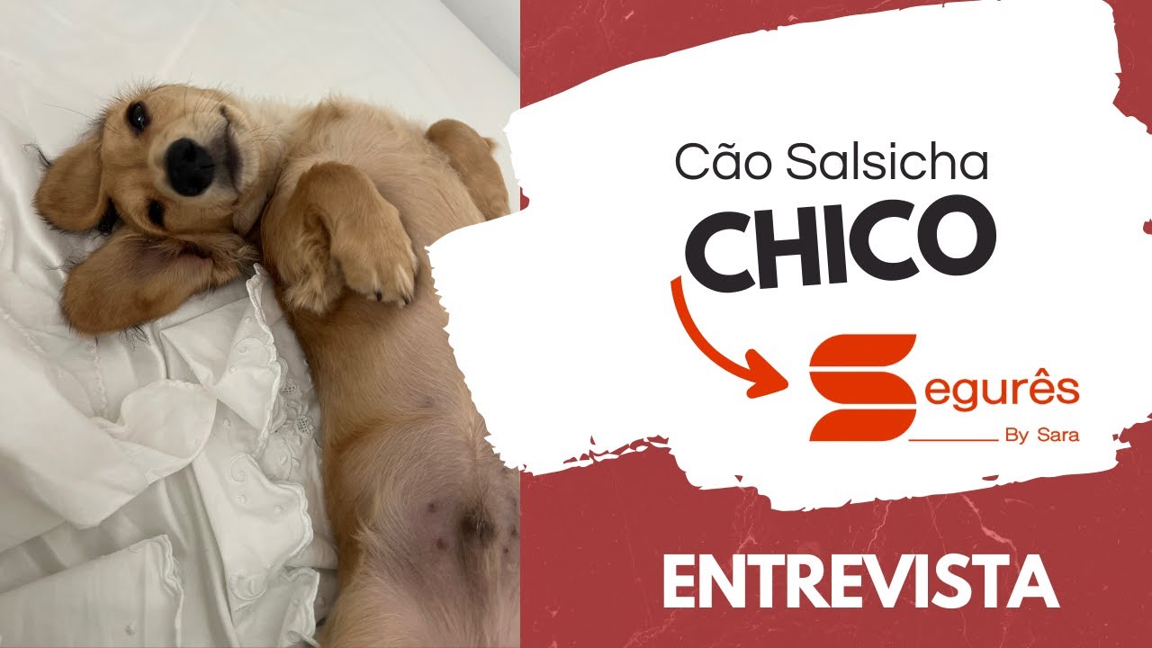 Segurês: Entrevista Chico Cão Salsicha