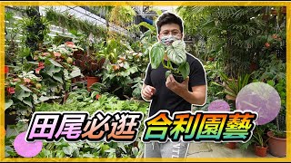 【田尾系列ep26】gardening shop 合利園藝–田尾必逛名店 ... 