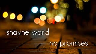 Story Wa No Promises Sayne Lagu Mp3 Video Mp4 3gp Laguaz123