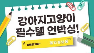 강아지고양이 필수템 언박싱! 크래니멀스, 어항받침대, 은신처, 사료, 슬링백 리뷰
