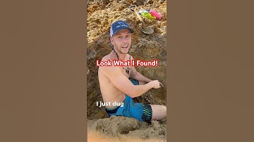 Finding ancient fossil Great White Shark teeth on land which was an ocean 2+ million years ago