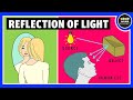 Reflection of Light Quiz