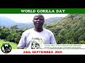 #WorldGorillaDay message from the Gorilla Guardians of Bwindi