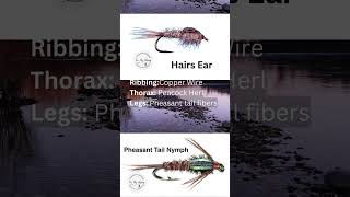 Popular Size 20 Wet Flies