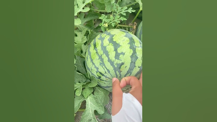 Partiendo sandia con un dedo 🥝👌 #shorts