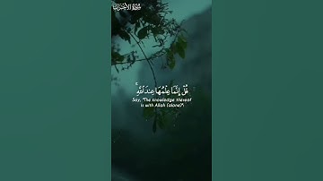 قرآن كريم بصوت القارئ اسلام صبحي تلاوة مؤثر ارح قلبك 💚🌿حالة واتس إسلامية /استوري انستغرام