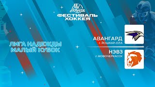 Авангард (Йошкар-Ола) - НЭВЗ (Новочеркасск) | Лига Надежды. Малый кубок (11.05.2024)