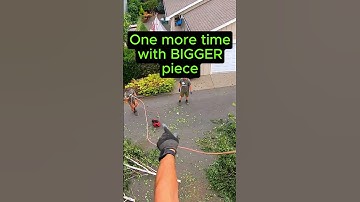 Pro Tips - Advanced Tree Trimming #arborist #treeservice