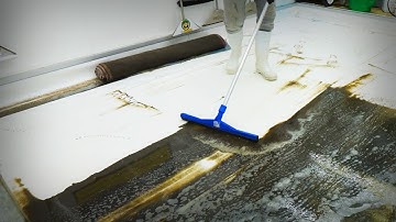 BRACE YOURSELF: This Pink Rug Transformation Is SHOCKINGLY Good. Satisfying ASMR Carpet Cleaning.