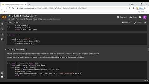 Implementation on Fake Iris Image Generation using GAN in PyTorch Python|+91-9872993883 for query