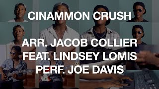 Cinnamon Crush - Joe Davis (Jacob Collier ft. Lindsey Lomis Cover)