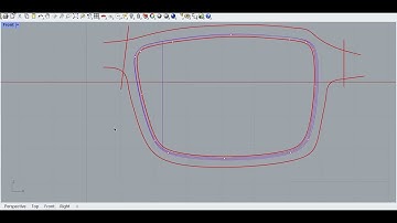 Rhino design eyeglasses or sunglasses