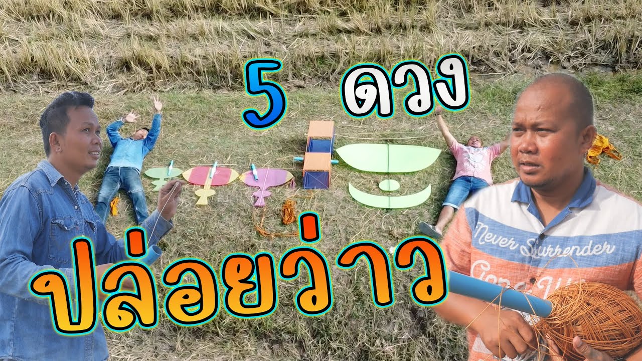 ปล่อยว่าวหลายตัวกลางทุ่งนา ว่าวแม่ลูกเล็กขึ้นดีมาก