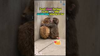 Emotionally intelligent Baby Monkey 🐒❤️ #cute #monkey #japan #animals