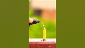 parrot cracker testing 2023 #shorts #cracker #experiment #crakerstesting #firework #crackers