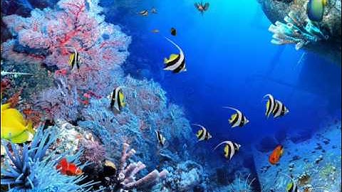 سورة مريم - سورة 19 - عدد آياتها 98