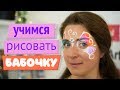 Аквагрим для начинающих: учимся рисовать бабочку