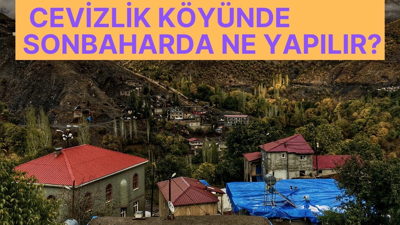 CEVİZLİK KÖYÜNDE SONBAHARDA NE YAPILIR? SİİRT ŞİRVAN