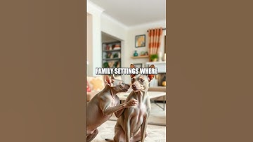 The Enigmatic Origin of the Sphinx Cat