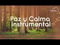 🙏🏼🙇🏻‍♂️Tiempo Con Dios / Música Instrumental / Instrumental Worship 🙇🏻‍♂️🙏🏼