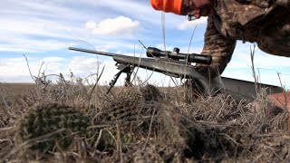 70 MPH WINDS and Crawling Through Cactus for a South Dakota Mule Deer | South Dakota Deer Hunting