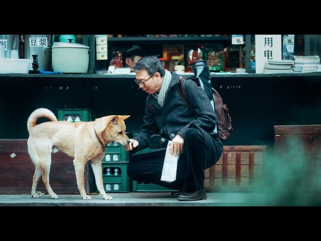 【FILM】HACHIKO 忠犬八公 TRAILER class=