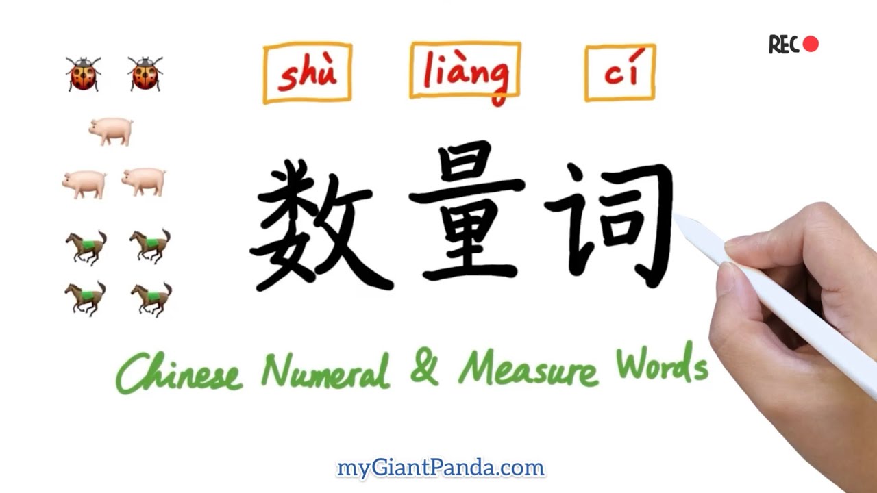 学中文【数量词】Numeral Measure Words in Chinese (Top 10) 最常用的10大中文数词和量词|Learn ...
