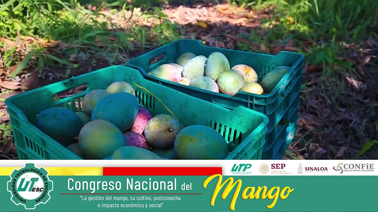 Congreso Nacional del Mango 2023