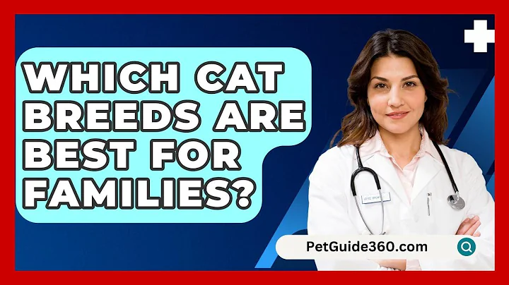 Which Cat Breeds Are Best for Families? - PetGuide360.com