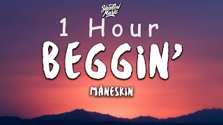 Måneskin - Beggin' (lyrics)Testo | 1 HOUR