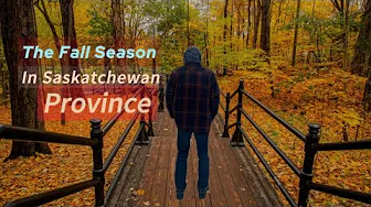 The Beautiful Fall Season in Saskatchewan Province Canada North America.