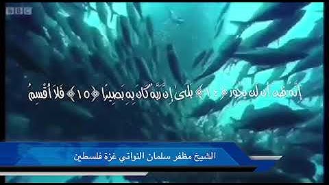 تلاوة طيبة عطرة لسور" المطففين والانشقاق والبروج " للشيخ القارئ مظفر سلمان  النواتي