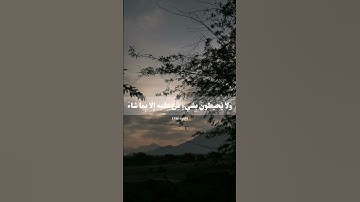 تلاوة ما تيسر من سورة البقرة " آية الكرسي" بصوت ماهر المعيقلي