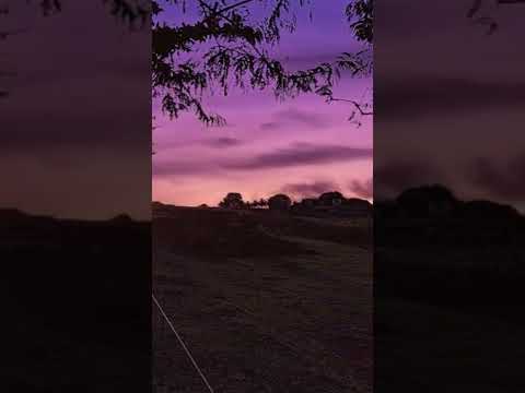 amazing || purple sunset 💜💜💜 #nature #sunset #relax #campfire #best #healing #quotes #happy
