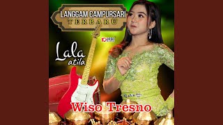 Wiso Tresno (From 'Langgam Campursari Terbaru')