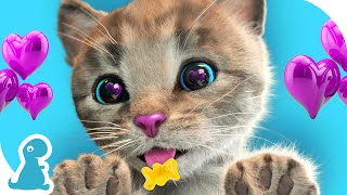 SUPER SPECIAL LITTLE KITTEN ADVENTURE  THE STORY OF A LITTLE KITTEN AND THE ANIMALS GO ON A JOURNEY