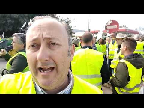 Iñigo Osuna (VOX Sevilla) en defensa agricultores sevillanos. 25/02/20